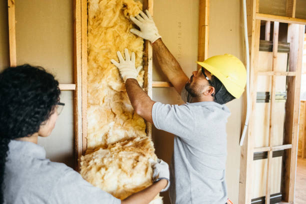 Best Insulation Air Sealing  in George West, TX